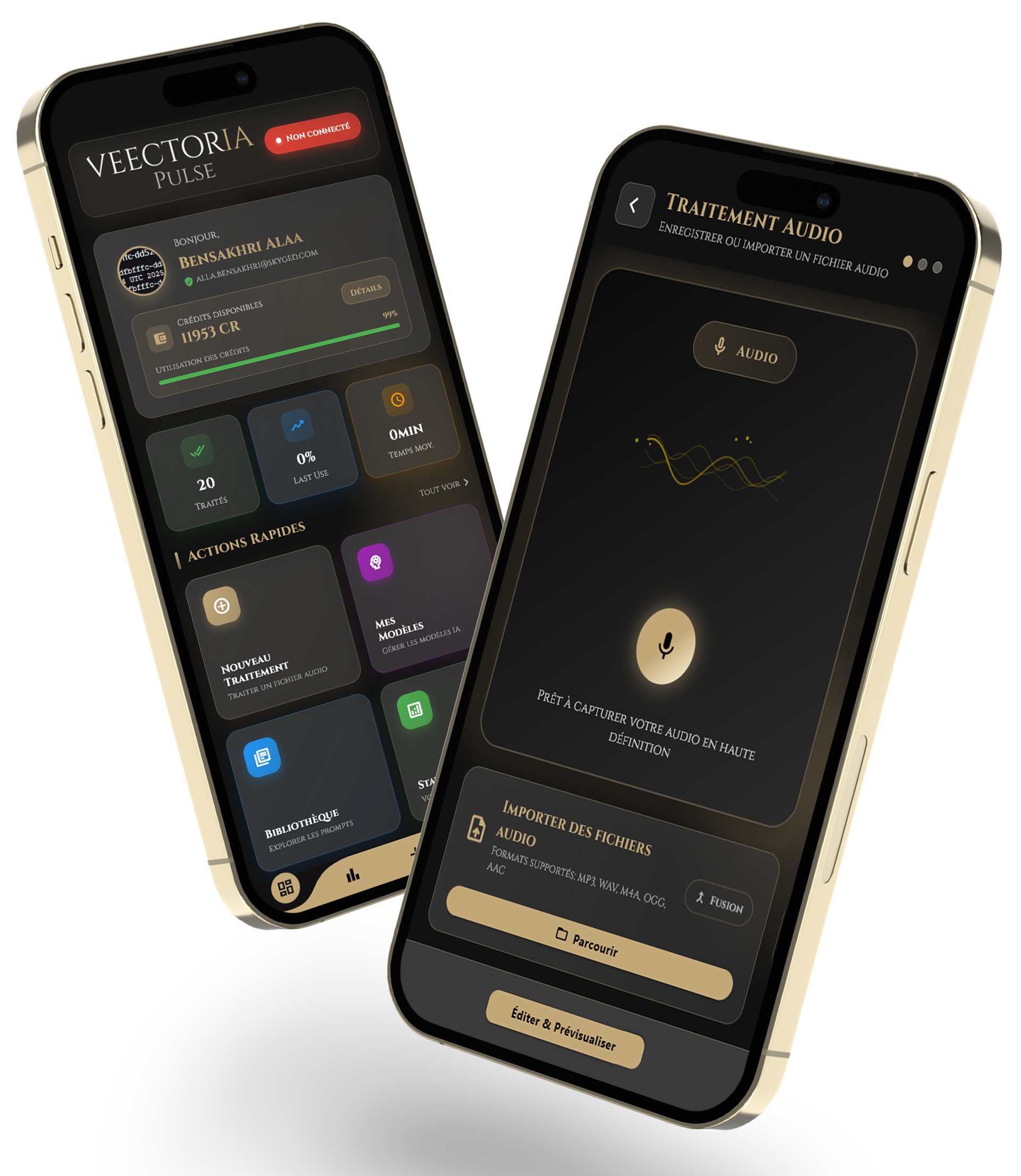 VEECTORIA Pulse Dashboard